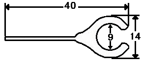 Tadpole Line Drawing.jpg